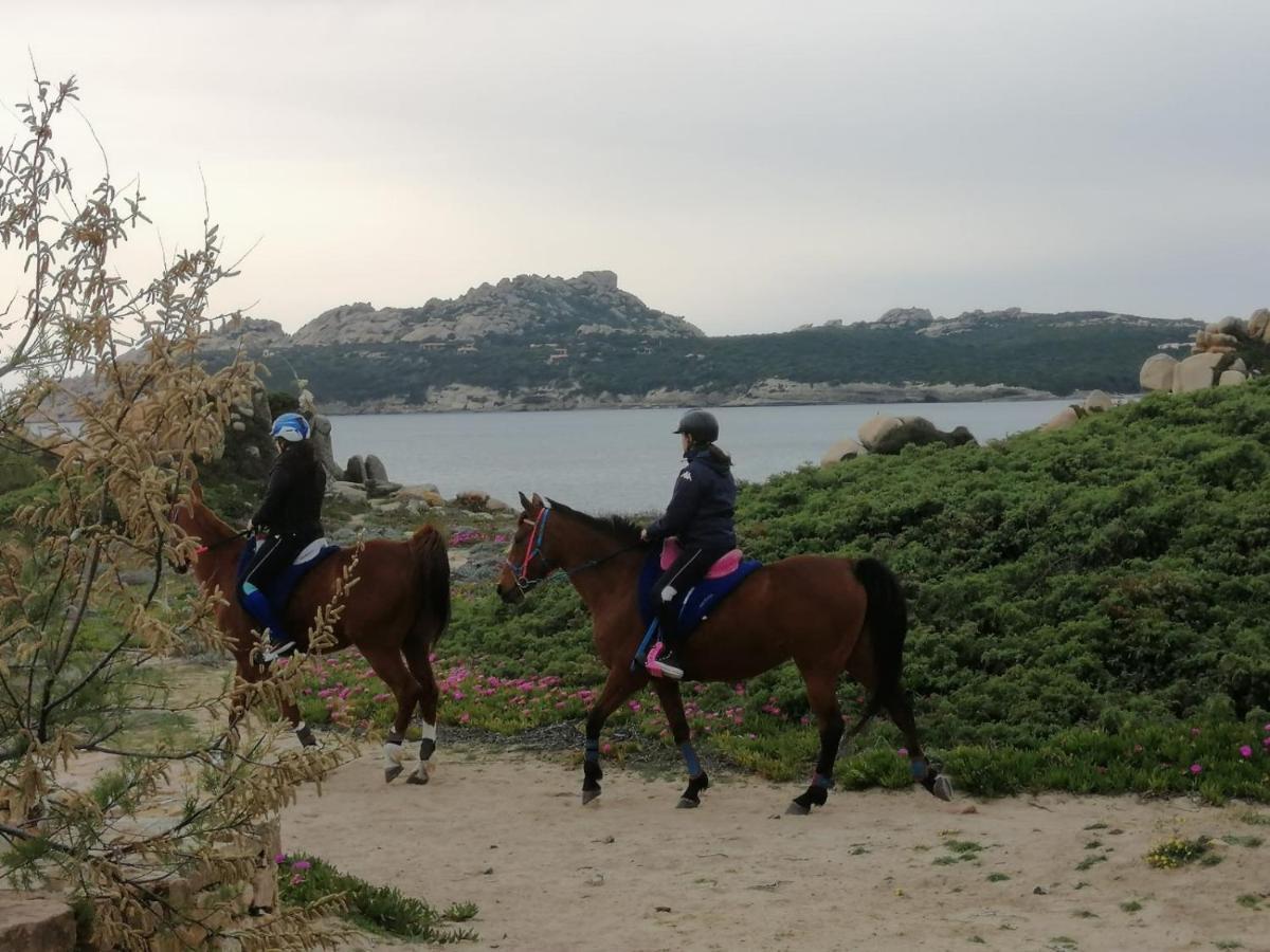 Casa Baia Santa Reparata - Santa Teresa Di Gallura Iun Q1712 Kültér fotó